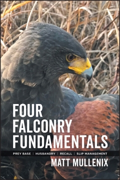 Four Falconry Fundamentals - Matt Mullenix - Fine Tune Your Falconry